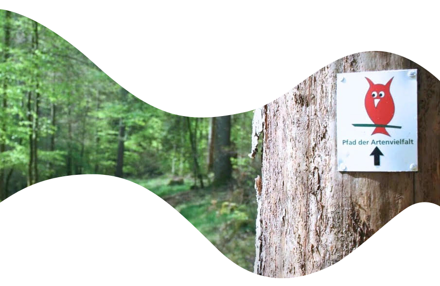Ein Schild mit der Beschriftung "Pfad der Artenvielfalt" befestigt an einem Baum.